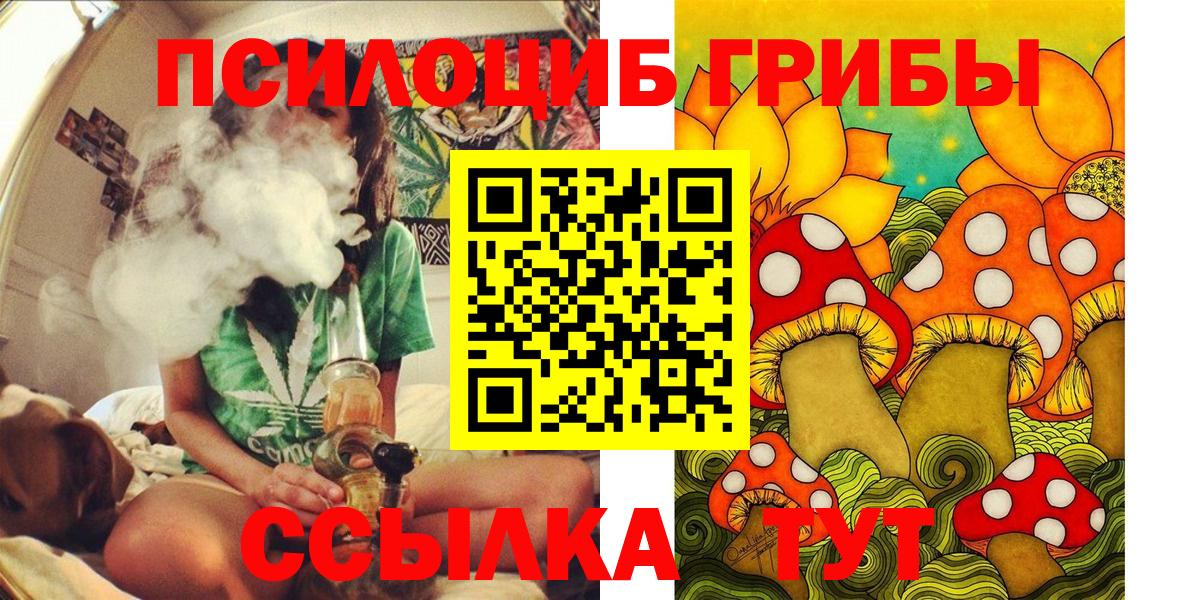Псилоцибиновые грибы Magic Shrooms  хочу   Богородицк  Вход с VPN 
